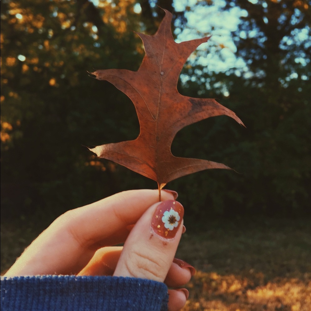 Like to Save My Closet